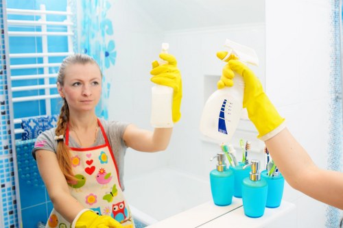 A visual representation of accessible Carpetcleaning Ec1 website content