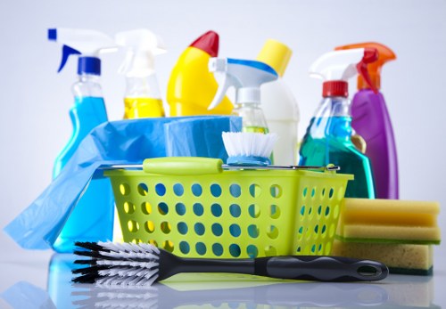 Carpet cleaning team introducing Carpetcleaning EC1 services