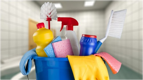 Carpet cleaning technician preparing equipment for a service visit