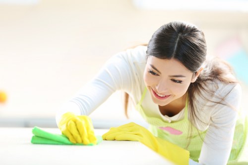 Domestic cleaner performing detailed kitchen cleaning in EC1