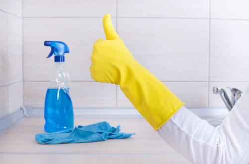 Inclusive Carpetcleaning Ec1 accessibility statement page