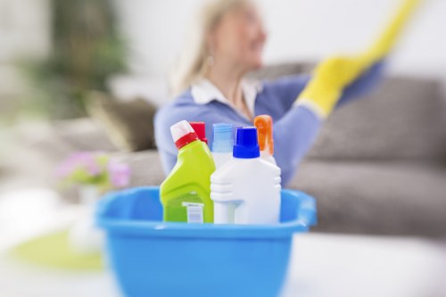 Deep stain removal by a carpet cleaner in EC1