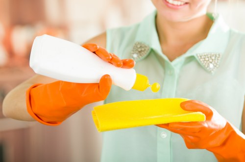 Cleaner inspecting carpet condition before treatment