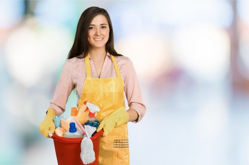 EC1 cleaner handling domestic cleaning tasks in a modern apartment