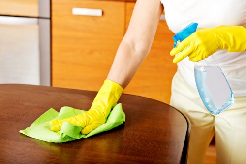 Detailed deep cleaning EC1 service for kitchens and living spaces